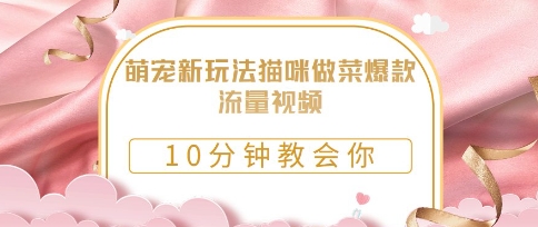 萌宠新玩法猫咪做菜爆款流量视频，10分钟教会你-小浪学习网
