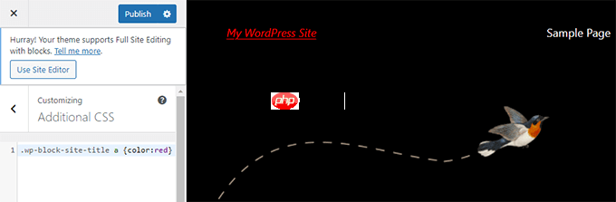如何轻松地将自定义 CSS 添加到您的 WordPress 网站