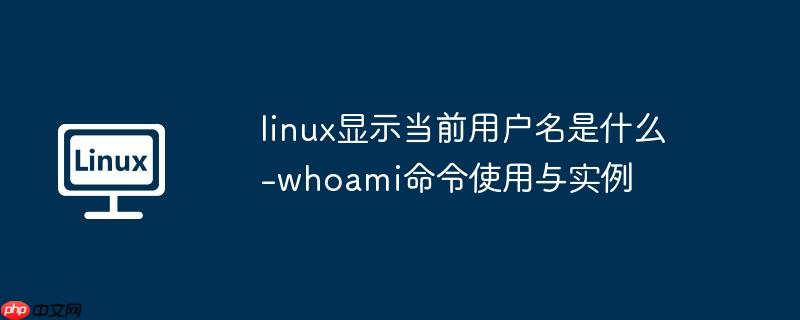 linux显示当前用户名是什么-whoami命令使用与实例-小浪学习网