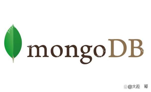 强制停止MongoDB服务的情况及风险提示-小浪学习网