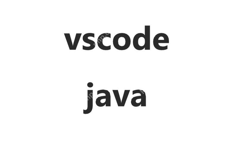 VSCode插件市场的使用技巧与推荐-小浪学习网