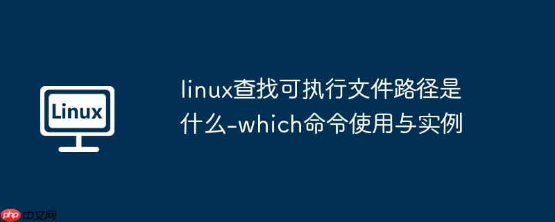 linux查找可执行文件路径是什么-which命令使用与实例-小浪学习网