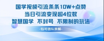 国学视频引流条条10W+点赞当日引流变现超4位数-小浪学习网