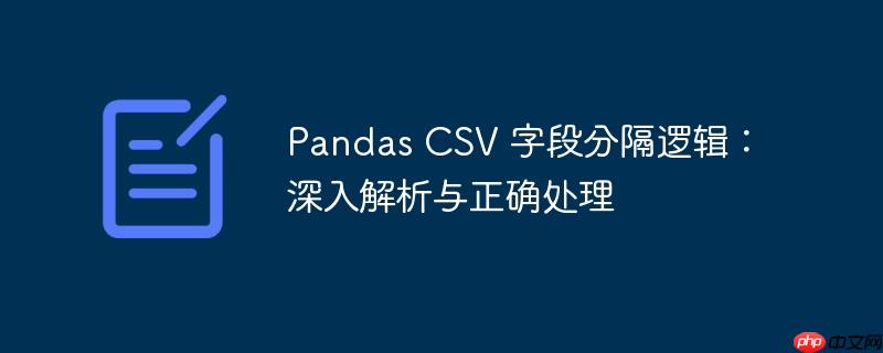 Pandas CSV 字段分隔逻辑：深入解析与正确处理-小浪学习网