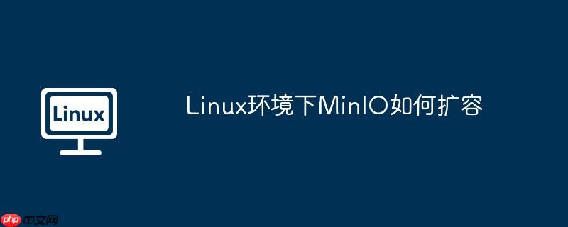 Linux环境下MinIO如何扩容-小浪学习网
