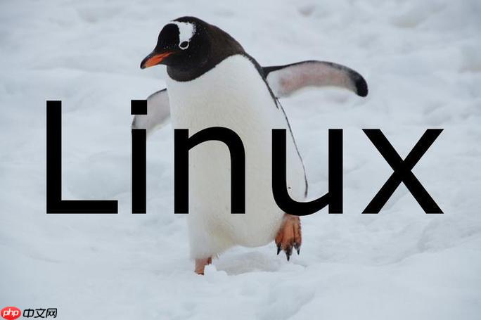 linux怎样备份重要数据？有哪些常用备份工具？-小浪学习网