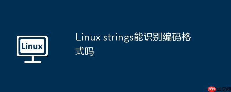 Linux strings能识别编码格式吗-小浪学习网