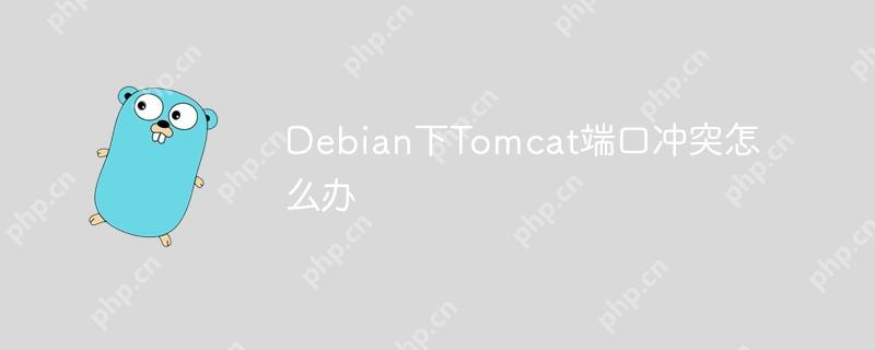 Debian下Tomcat端口冲突怎么办-小浪学习网