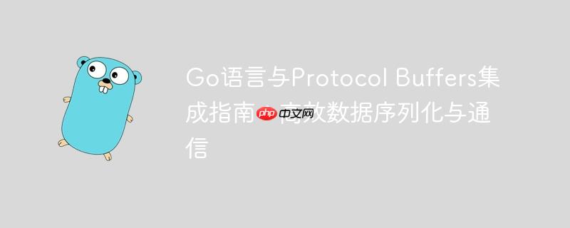 Go语言与Protocol Buffers集成指南：高效数据序列化与通信-小浪学习网