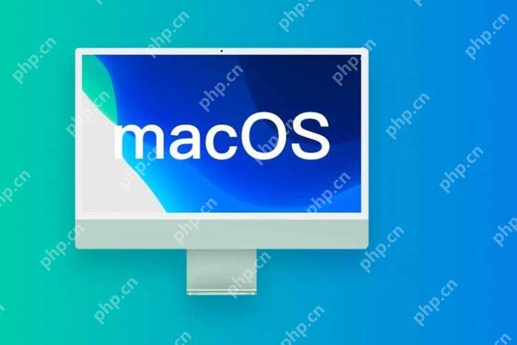 macOS怎么打开夜间模式-小浪学习网
