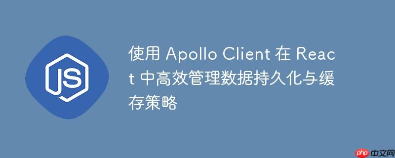 使用 Apollo Client 在 React 中高效管理数据持久化与缓存策略-小浪学习网