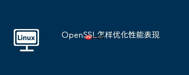 OpenSSL怎样优化性能表现-小浪学习网