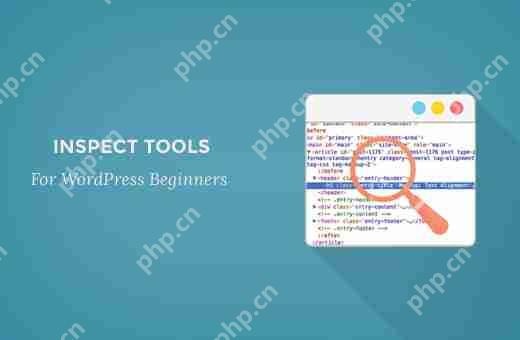 Inspect Element 基础知识：为 DIY 用户定制 WordPress-小浪学习网