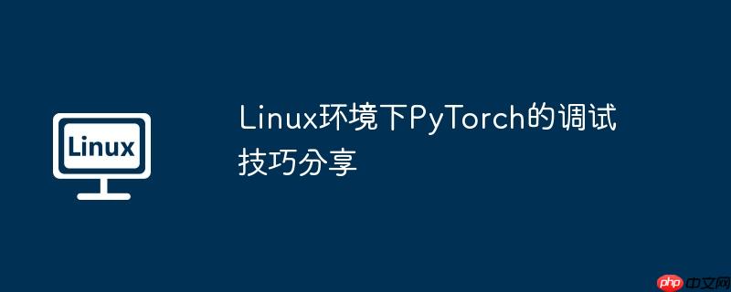 Linux环境下PyTorch的调试技巧分享-小浪学习网