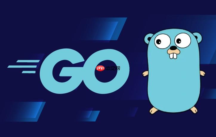 Golang结构体标签解析错误怎么办？Golang反射标签使用指南-小浪学习网