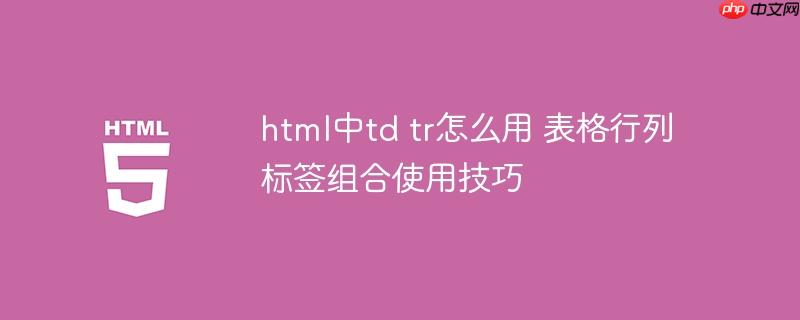 html中td tr怎么用 表格行列标签组合使用技巧-小浪学习网