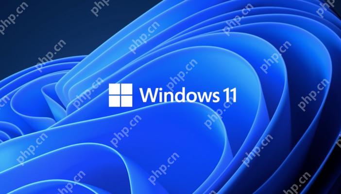 win11截屏键是哪个 win11常用截屏按键说明-小浪学习网