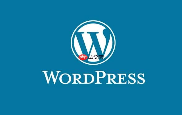 WordPress后台SEO插件不工作-小浪学习网