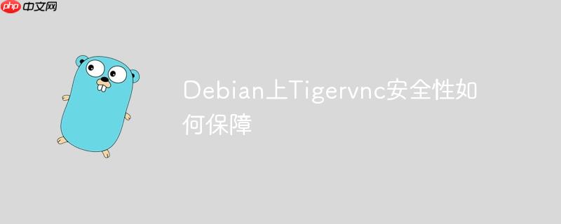 Debian上Tigervnc安全性如何保障-小浪学习网