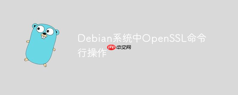 Debian系统中OpenSSL命令行操作-小浪学习网