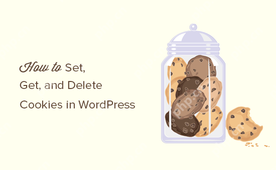 如何设置、获取和删除 WordPress Cookie（像专业人士一样）-小浪学习网