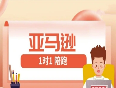 亚马逊1对1陪跑课(FBA/FBM精铺)跨境亚马逊教程-小浪学习网