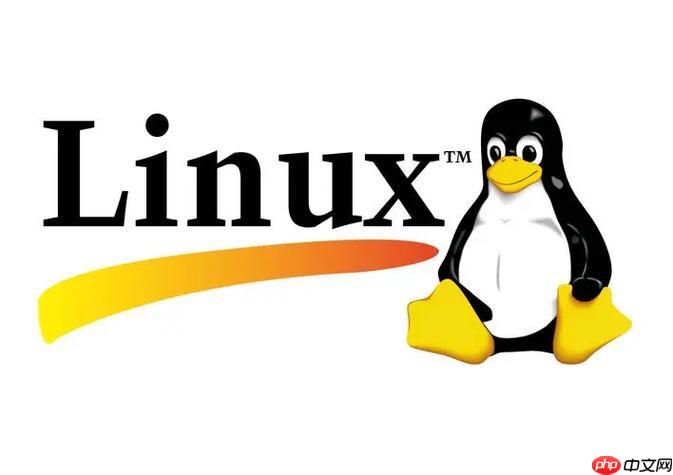 linux如何查看系统信息？linux系统监控工具有哪些？-小浪学习网