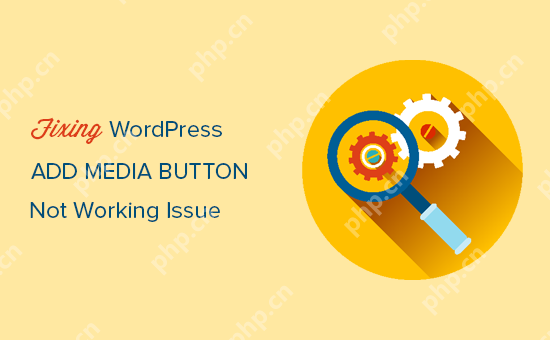 如何修复添加媒体按钮在 WordPress 中不起作用的问题-小浪学习网