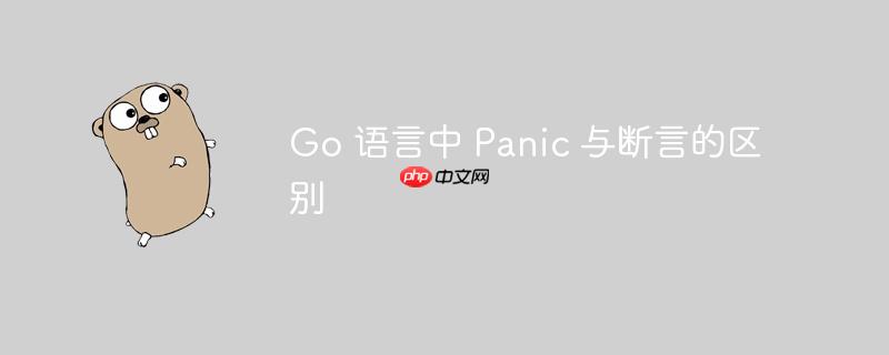 Go 语言中 Panic 与断言的区别-小浪学习网