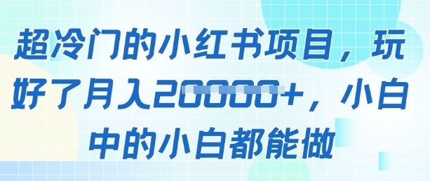 超冷门的小红书项目，玩好了月入过1w，小白中的小白都能做-小浪学习网