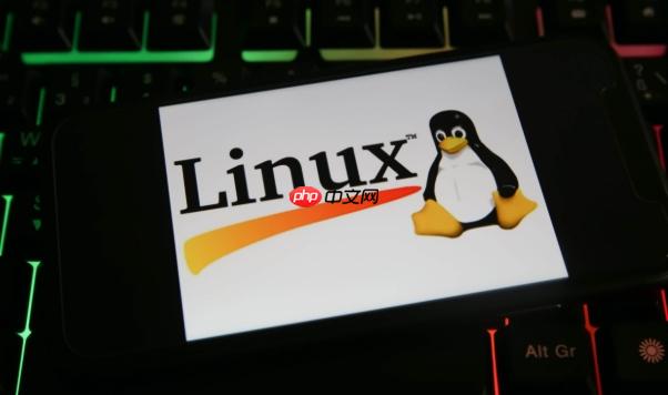 如何在Linux中创建软链接 快速学会创建和管理软链接的方法-小浪学习网