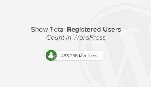 如何在 WordPress 中显示注册用户总数-小浪学习网