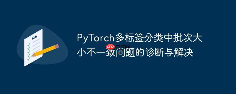 PyTorch多标签分类中批次大小不一致问题的诊断与解决-小浪学习网