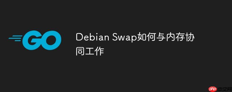 Debian Swap如何与内存协同工作-小浪学习网