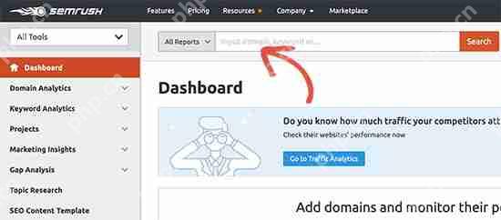 如何查看人们用来查找您的 WordPress 网站的关键字