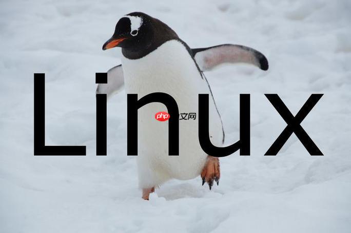 如何查看Linux用户的登录记录？last与lastlog命令解析