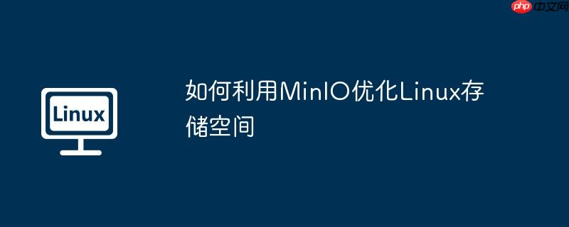 如何利用MinIO优化Linux存储空间-小浪学习网