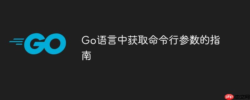 Go语言中获取命令行参数的指南-小浪学习网
