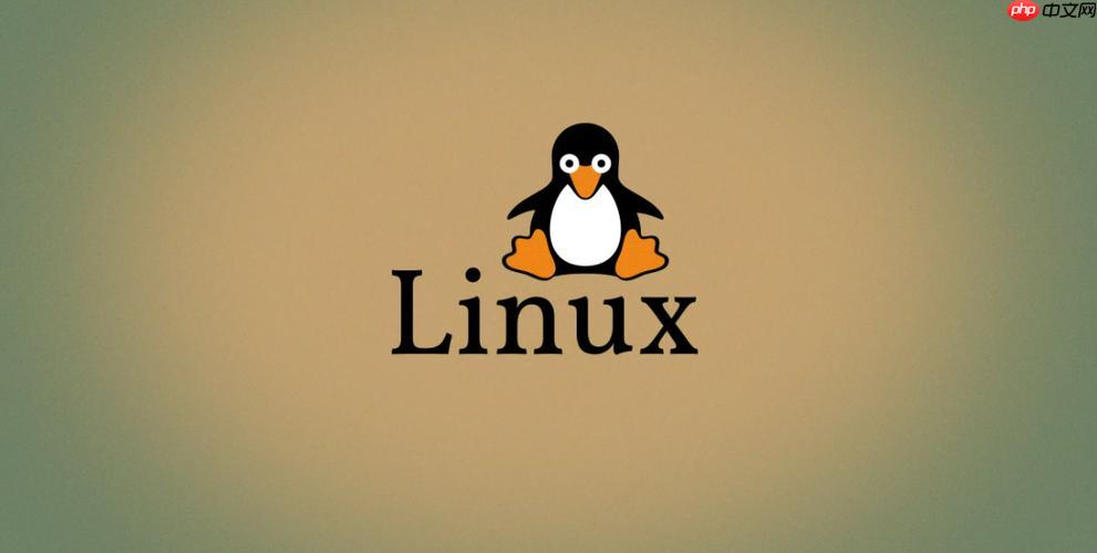 修复Linux服务器"Address already in use"问题的技巧-小浪学习网