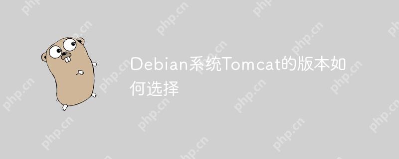 Debian系统Tomcat的版本如何选择-小浪学习网