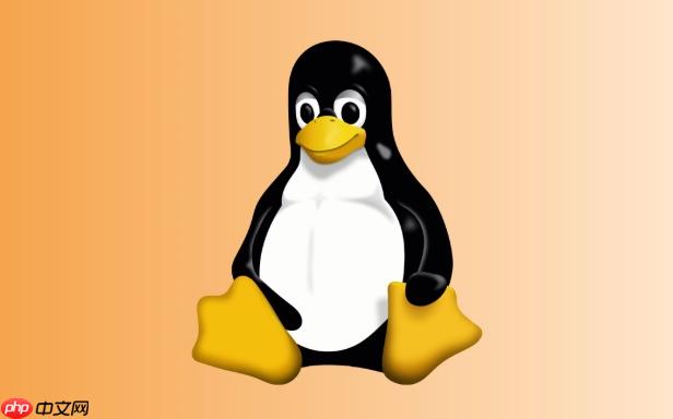 如何查看Linux用户的登录记录？last与lastlog命令解析-小浪学习网