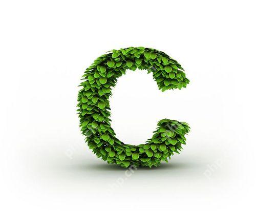 什么是C++中的智能指针所有权模型？-小浪学习网