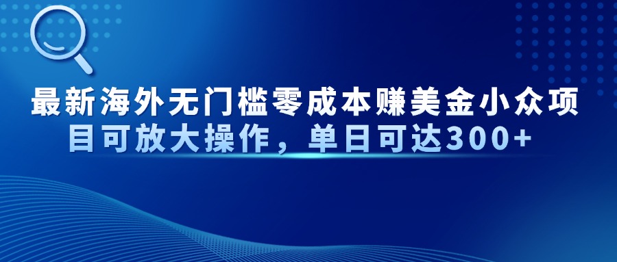 （14542期）最新海外无门槛零成本赚美金小众项目可放大操作，单日可达300+ -小浪学习网