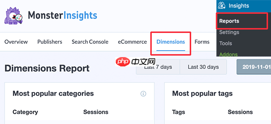 如何跟踪 WordPress 类别和标签分析（简单方法）
