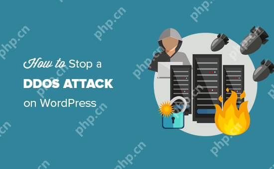 如何阻止和防止 WordPress 上的 DDoS 攻击-小浪学习网