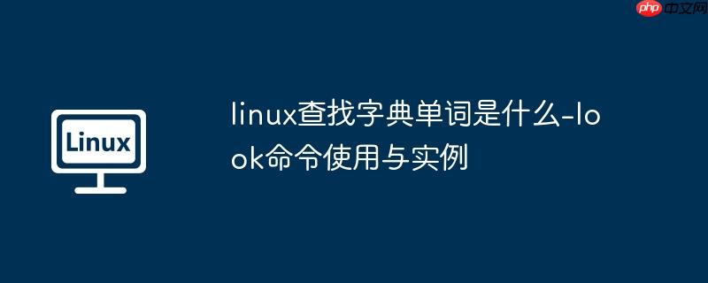 linux查找字典单词是什么-look命令使用与实例-小浪学习网