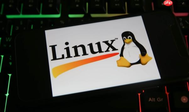 Linux怎么查看用户登录历史？ last命令查看用户登录记录的详细方法-小浪学习网