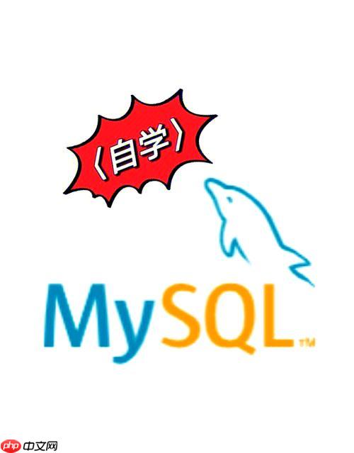 MySQL怎样导出数据到文件 CSV/Excel格式导出全攻略