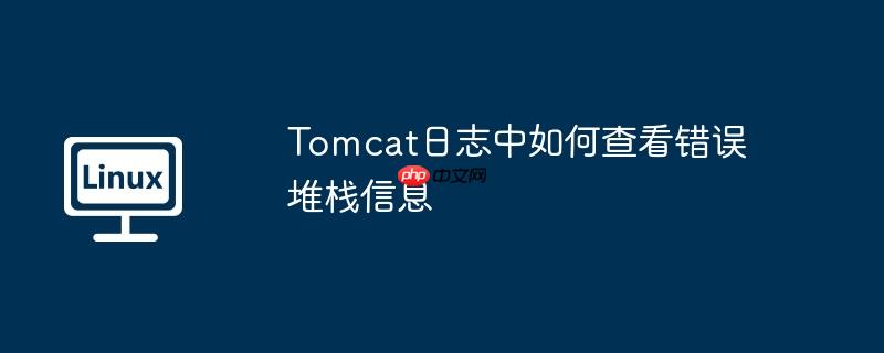 Tomcat日志中如何查看错误堆栈信息-小浪学习网