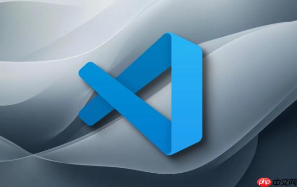 vscode如何运行halide vscode图像算法开发指南
